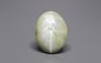 Ceylon Cat's Eye - 6.13 Carat Prime Quality CE-10782
