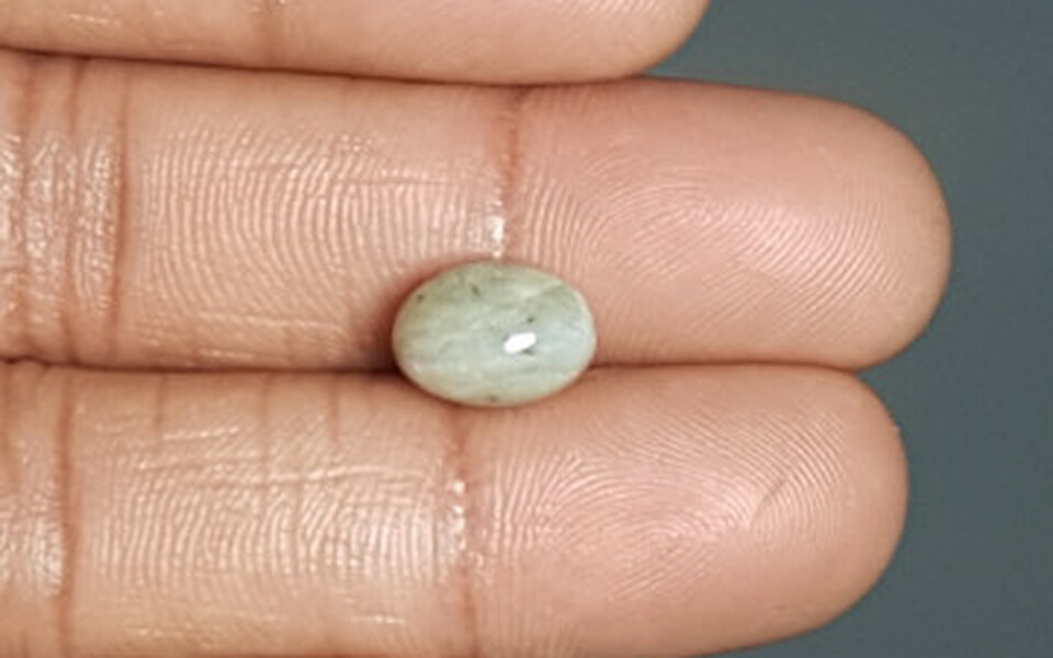 Ceylon Cat's Eye - 6.73 Carat Prime Quality CE-10636