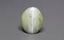 Ceylon Cat's Eye - 6.86 Carat Prime Quality CE-10784