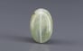 Ceylon Cat's Eye - 6.87 Carat Prime Quality CE-10815