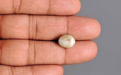 Ceylon Cat's Eye - 6.92 Carat Prime Quality CE-10783