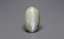 Ceylon Cat's Eye - 7.28 Carat Prime Quality CE-10787