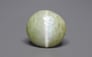 Ceylon Cat's Eye - 7.28 Carat Prime Quality CE-10789