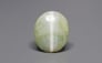 Ceylon Cat's Eye - 7.51 Carat Prime Quality CE-10788