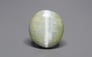 Ceylon Cat's Eye - 7.91 Carat Prime Quality CE-10790
