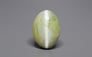 Ceylon Cat's Eye - 8.25 Carat Prime Quality CE-10795
