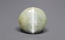 Ceylon Cat's Eye - 8.52 Carat Prime Quality CE-10791