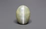 Ceylon Cat's Eye - 8.65 Carat Prime Quality CE-10792