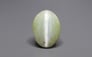 Ceylon Cat's Eye - 8.83 Carat Limited Quality CE-10802