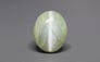 Ceylon Cat's Eye - 9.19 Carat Limited Quality CE-10804