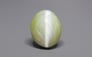Ceylon Cat's Eye - 9.34 Carat Prime Quality CE-10793