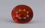 Ceylon Hessonite Garnet - 12.98 Carat Limited Quality HG-8287