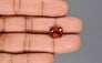 Ceylon Hessonite Garnet - 5.26 Carat Rare Quality HG-8479