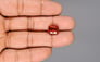Ceylon Hessonite Garnet - 6.27 Carat Limited Quality HG-8300