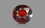 Ceylon Hessonite Garnet - 6.64 Carat Limited Quality HG-8133