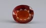 Ceylon Hessonite Garnet - 6.98 Carat Limited Quality HG-8334