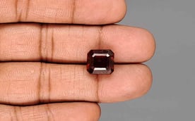 Ceylon Hessonite Garnet - 9.90 Carat Limited Quality HG-8352