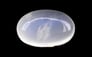 Ceylon Moonstone - 4.50 Carat Limited Quality MS-19133