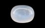 Ceylon Moonstone - 9.90 Carat Prime Quality MS-19108