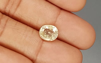 Ceylon Yellow Sapphire - 3.7 Carat Prime Quality CYS 3764