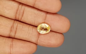 Ceylon Yellow Sapphire - 5.45 Carat Prime Quality CYS-3801
