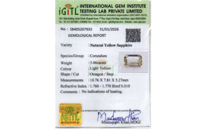 cys-3838-certificate-cys-3838-18226