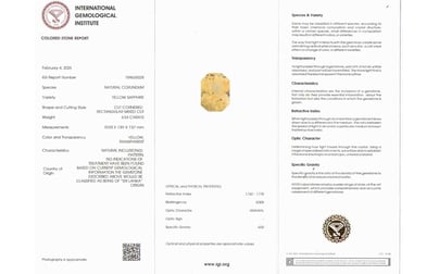 cys-3841-certificate-cys-3841-53345