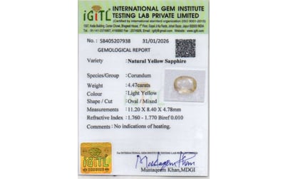 cys-3861-certificate-cys-3861-174