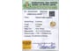 cys-4100-certificate-cys-4100-73515