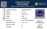 gfbs-20111-certificate-mgtlgfbs-20111-9172