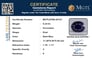 gfbs-20127-certificate-mgtlgfbs-20127-13313