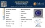 gfbs-20140-certificate-mgtlgfbs-20140-13004