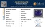 gfbs-20148-certificate-mgtlgfbs-20148-21537