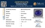 gfbs-20164-certificate-mgtlgfbs-20164-55355