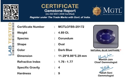 gfbs-20172-certificate-mgtlgfbs-20172-838