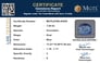 gfbs-20200-certificate-mgtlgfbs-20200-7449