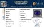 gfbs-20203-certificate-mgtlgfbs-20203-78376