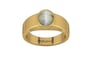 Gold Cat's Eye Ring Prime Quality (R10)