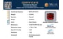 hg-8373-certificate-mgtlhg-8373-38283