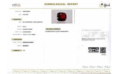 hg-8476-certificate-hg-8476-6217