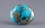 Irani Turquoise - 10.06 Carat Limited Quality TQS-13758