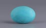 Irani Turquoise - 10.13 Carat Prime Quality TQS-13574