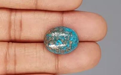 Irani Turquoise - 15.73 Carat Prime Quality TQS-13607