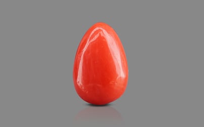 Italian Red Coral - 1.54 Carat Limited Quality CC-5755