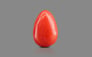 Italian Red Coral - 1.54 Carat Limited Quality CC-5755