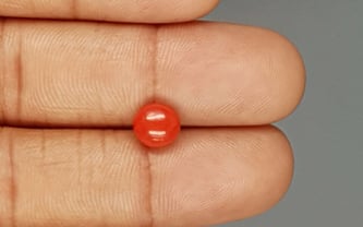Italian Red Coral - 1.72 Carat Limited Quality CC-5749