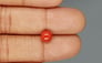 Italian Red Coral - 1.79 Carat Limited Quality CC-5750