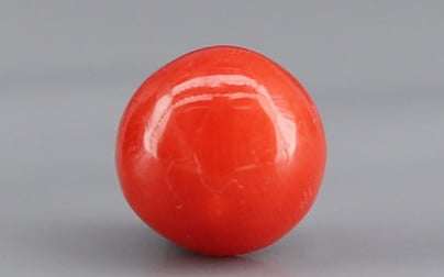 Italian Red Coral - 1.79 Carat Limited Quality CC-5750