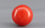 Italian Red Coral - 1.79 Carat Limited Quality CC-5750