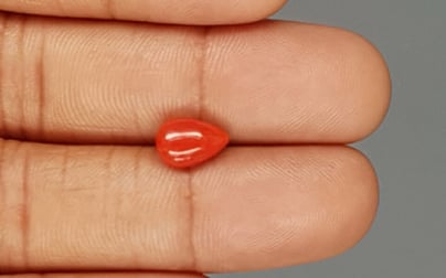 Italian Red Coral - 1.84 Carat Limited Quality CC-5751